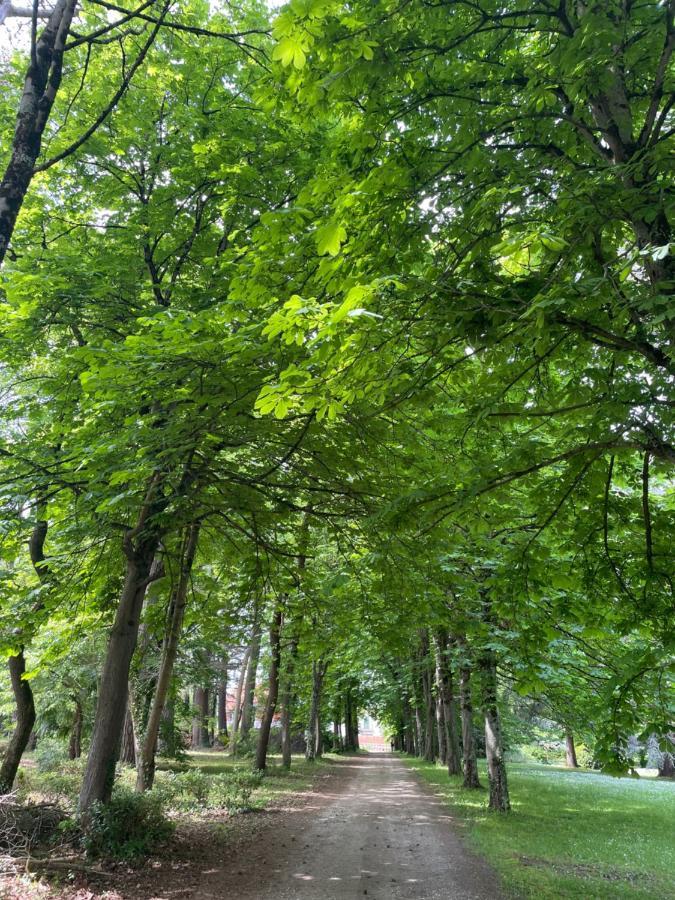 Domaine La Belle Histoire - Gite Cote Parc Besset エクステリア 写真