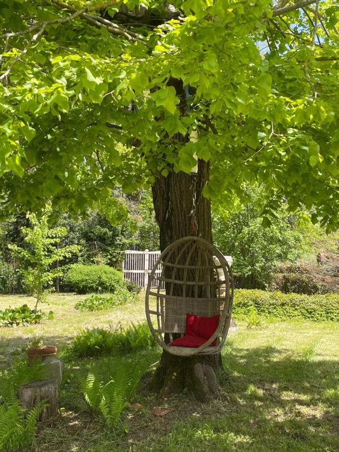 Domaine La Belle Histoire - Gite Cote Parc Besset エクステリア 写真